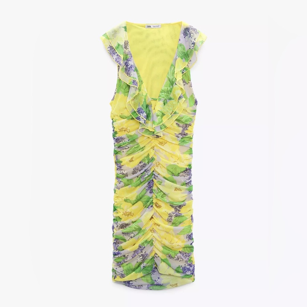 Zara Printed Tulle Dress